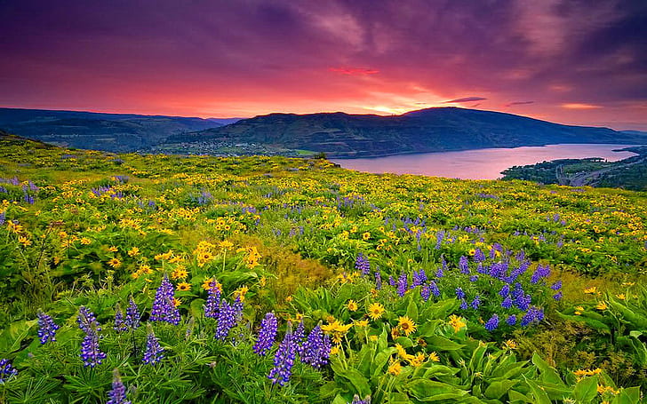 Landscape Nature Yellow And Blue Flowers Meadow Lake Mountain Sky With Clouds Red Wallpaper With 1610 High Resolution