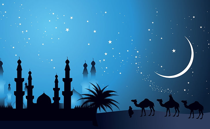 Arabian Night Design, silhouette of mosque vector photo, Aero, HD wallpaper