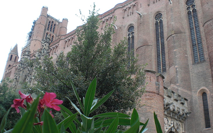 Cathedrals, Albi Cathedral, HD wallpaper
