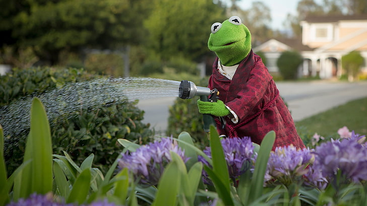 Kermit the Frog, flowers, Sesame Street, The Muppets, plant