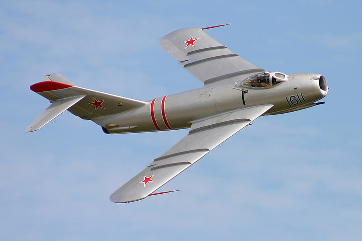 gray aircraft, the sky, flight, fighter, jet, Soviet, The MiG-17