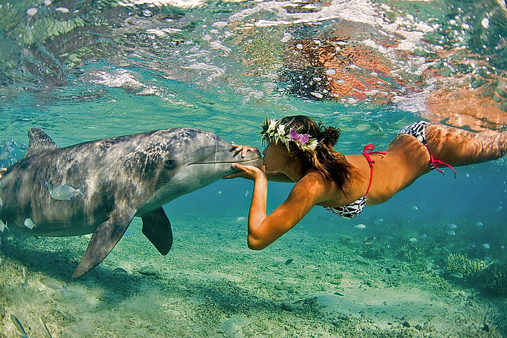 bikini, dolphin, females, girl, girls, kiss, nature, ocean, HD wallpaper