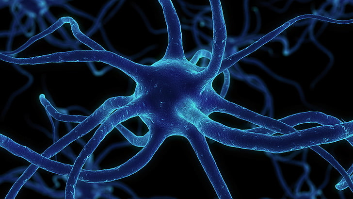 blue microscopic organism illustration, network, synapses, neuron