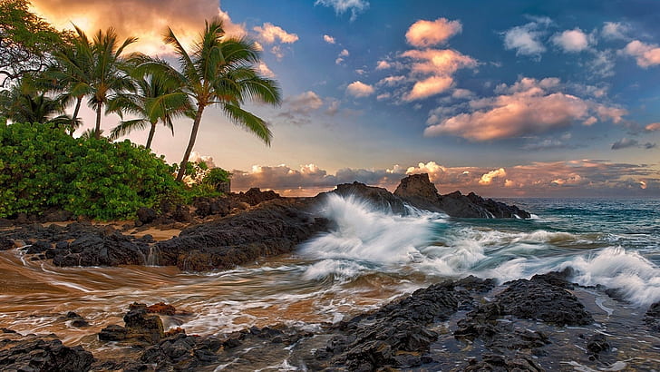 Maui, Hawaii, quiet, ocean, rocks, palm trees, beach, HD wallpaper