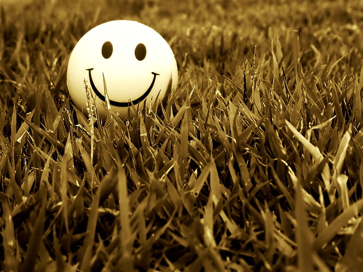 yellow emoji ball, smile, grass, mood, easter, nature, eggs, concepts, HD wallpaper