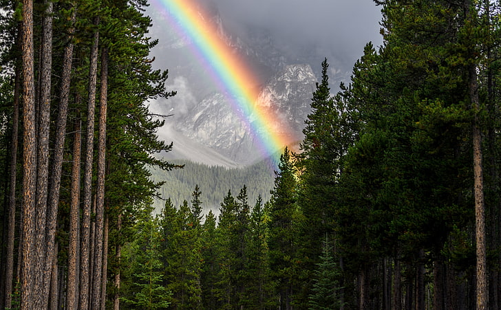 Rainbow, Forest, Banff National Park, Canada, Alberta, Travel, HD wallpaper