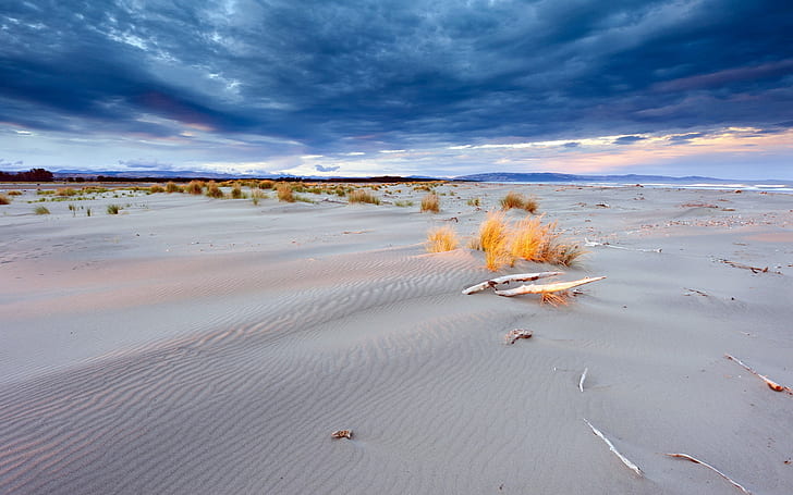 Sand Dunes, Desert, Nature