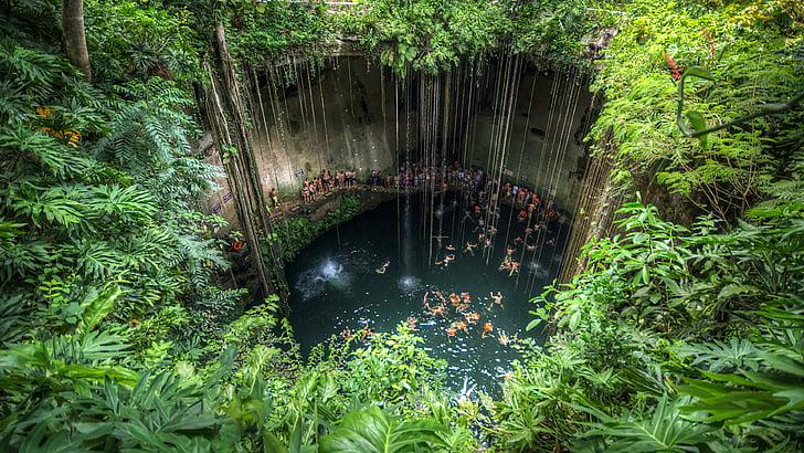 jungle, holiday, travel, swim, pond, sinkhole, water resources, HD wallpaper
