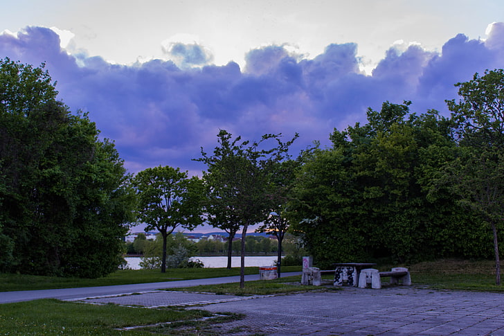 purple, clouds, tree, plant, sky, cloud - sky, nature, beauty in nature