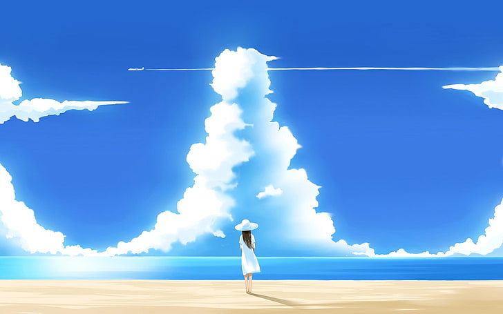 woman wearing hat and dress standing on seashore watching airplane wallpaper