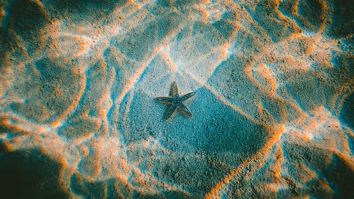 photography, underwater, sun rays, waves, natural light, starfish