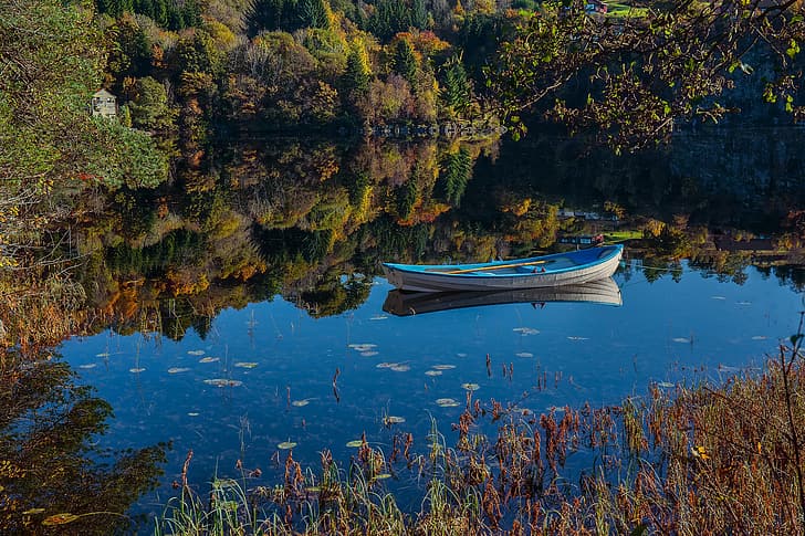 forest, lake, reflection, boat, Norway, Hordaland, Saeterstolen, HD wallpaper