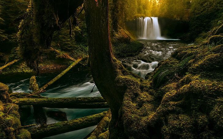 black and brown wooden table, landscape, nature, moss, waterfall, HD wallpaper