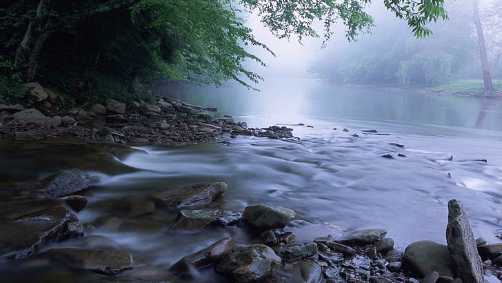 Cheat River In West Virginia, forest, mist, rocks, nature and landscapes