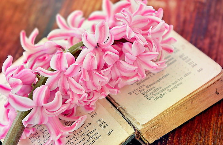 Spring Flower Open Old Book, Vintage, Pink, Flowers, Wood, Close, HD wallpaper