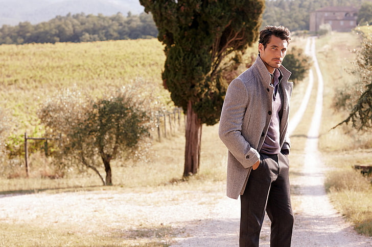 men's gray coat, road, field, trees, nature, model, male, David Gandy