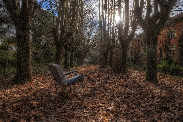 trees, fall, house, chair, Wheelchair