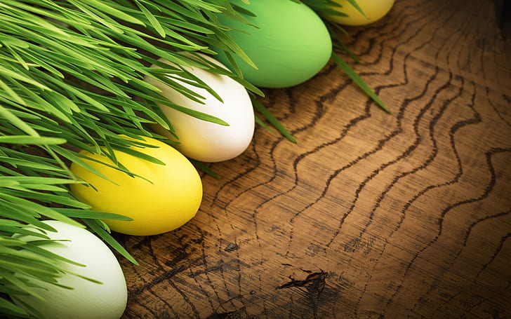 Happy Easter, colorful eggs, grass, spring