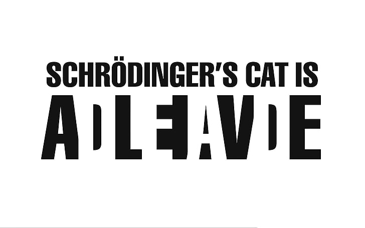 typography, Schrödinger's cat, minimalism, simple background