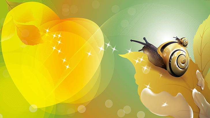 snail, HD wallpaper