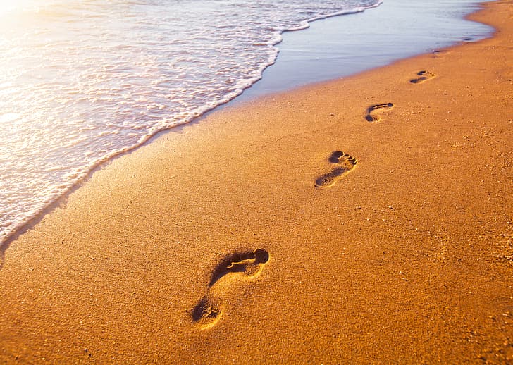 HD wallpaper: sand, sea, beach, traces, shore, seascape, footprints ...