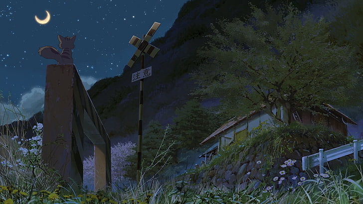 cat on barrier anime wallpaper, Hoshi wo Ou Kodomo, plant, nature, HD wallpaper