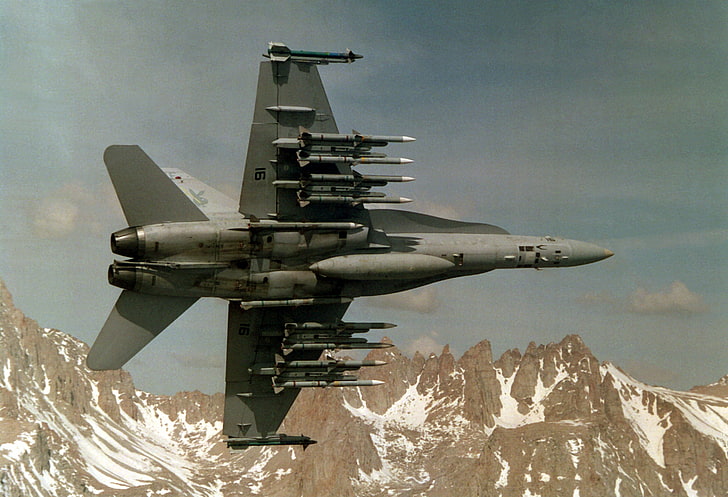 gray jet fighter, aircraft, jets, McDonnell Douglas F/A-18 Hornet, HD wallpaper