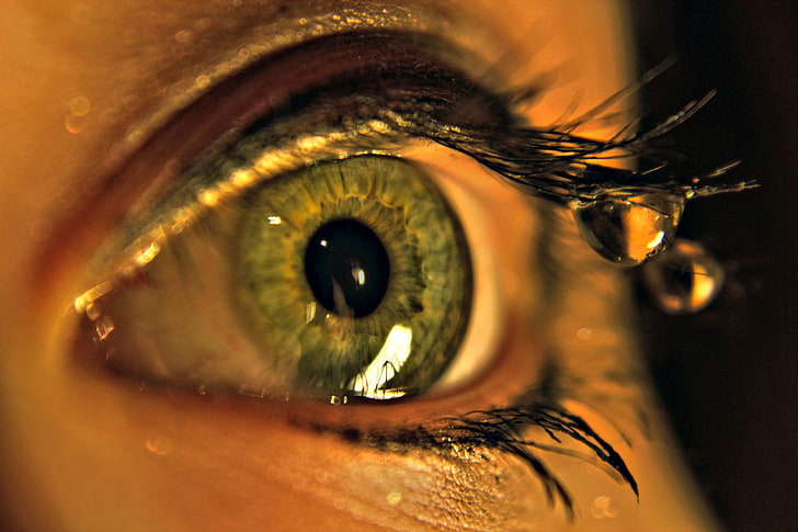 human eye, drops, macro, eyelashes, close-up, human Face, gold Colored, HD wallpaper