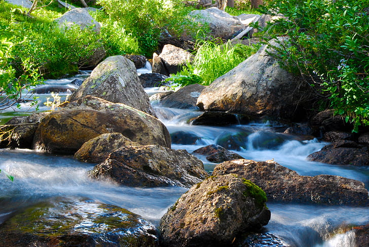 river and green shrubs photo, wind river, wind river, Stream, HD wallpaper