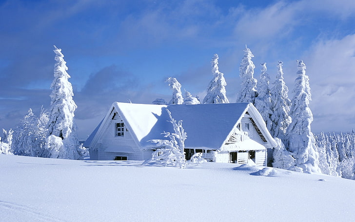 snow-covered cabin photo, hut, winter, pine trees, landscape