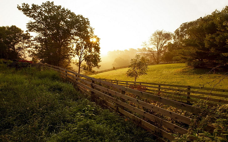 brown wooden fence, nature, landscape, sunset, lens flare, trees, HD wallpaper