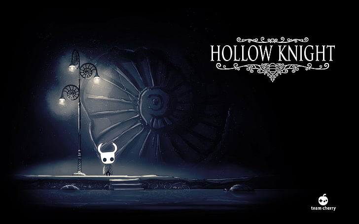 Video Game, Hollow Knight