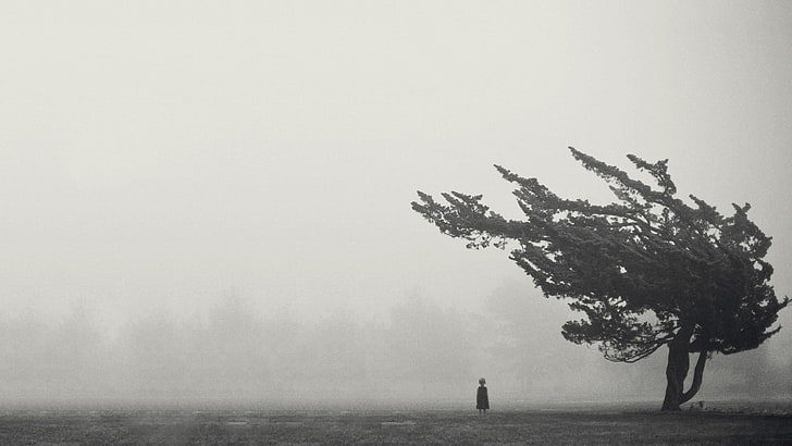 child silhouette near tree, children, mist, monochrome, fog, nature
