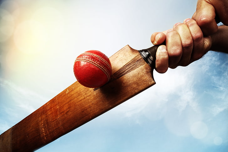 Cricket ball, Cricket bat, Cork ball, 5K, human hand, human body part