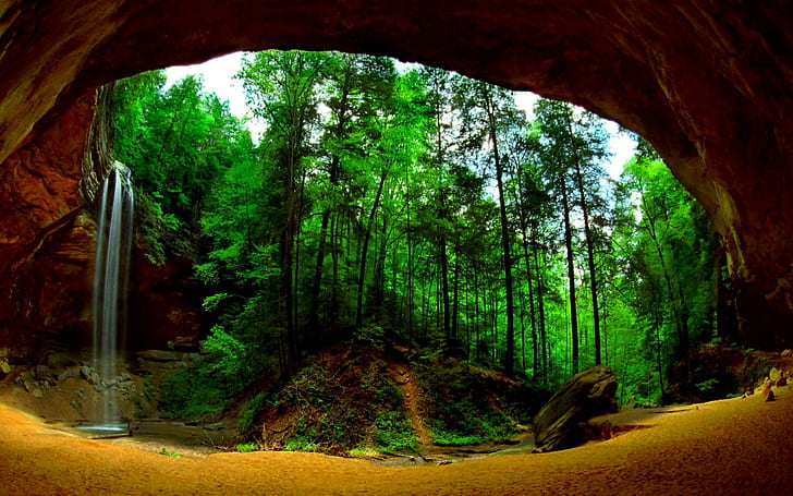 The Magic Forest, green forest, mountain, landscape, nature, cave