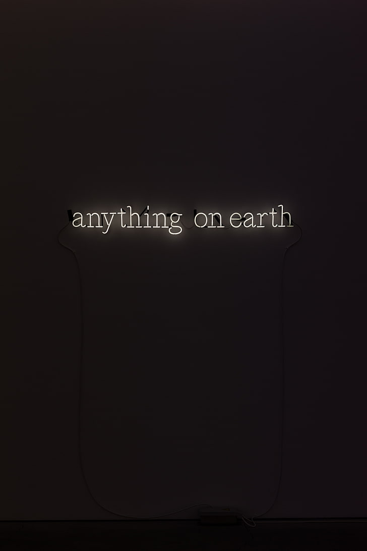anything on earth neon sign, inscription, text, letters, illustration