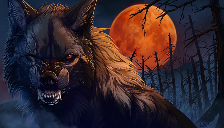 night, wolf, wool, mouth, fangs, werewolf, art, scars, evil eye, HD wallpaper