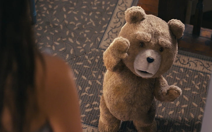 bears, funny, movies, ted, teddy, HD wallpaper