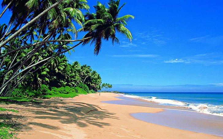 Sri Lanka, beach, seashore photography, palms, Ocean, HD wallpaper