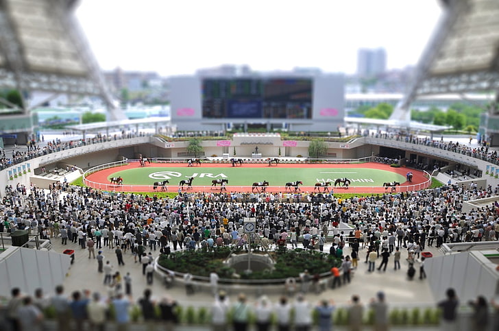 tilt-shift photography of people standing near stadium at daytime, selective focus photograph of horse field toy