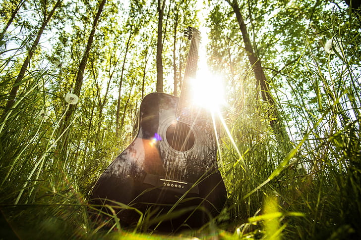 black, forest, grass, guitar, ibanez, music, ray of sunshine