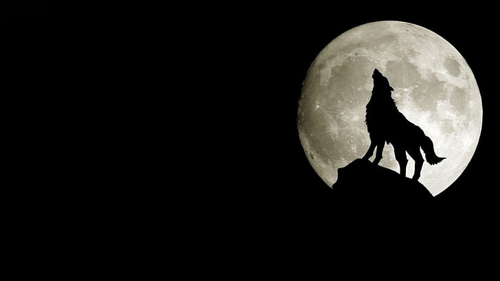 silhouette of wolf, moon, copy space, night, sky, astronomy, planetary moon