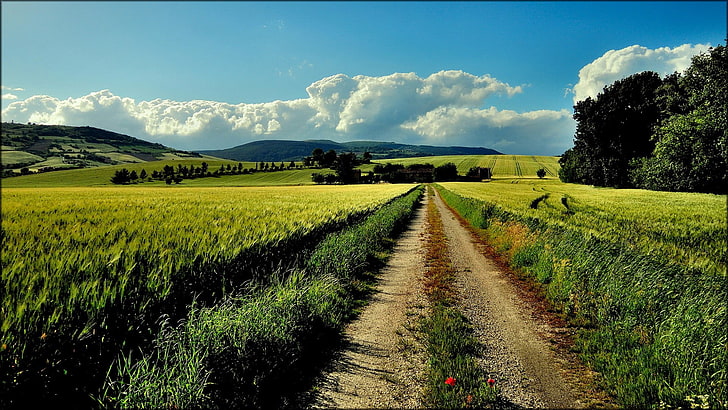 nature, landscape, field, clouds, dirt road, beauty in nature