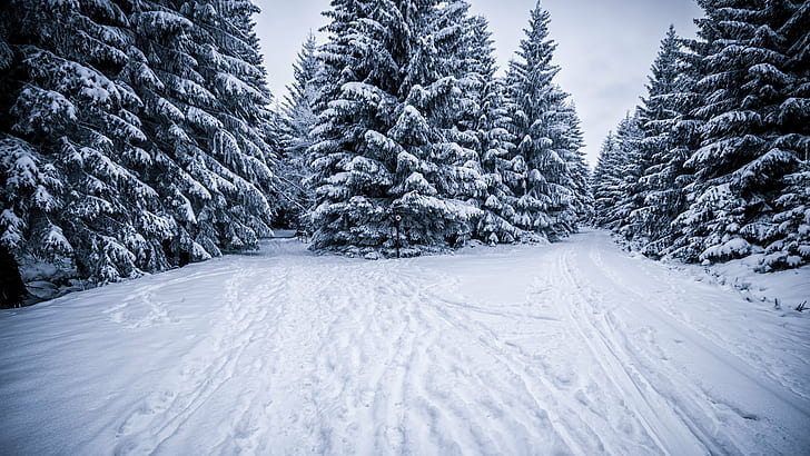 Featured image of post Schnee Hintergrundbilder 4K