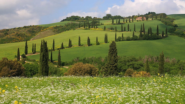 hills, italy, landscapes, monticchiello, pienza, siena, toscana, HD wallpaper