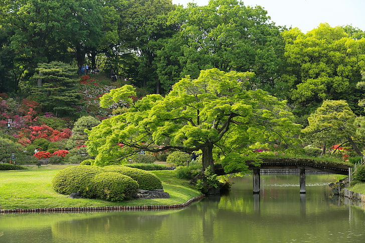 body of water, trees, Japan, Tokyo, the bridge, pond, Japanese garden, HD wallpaper