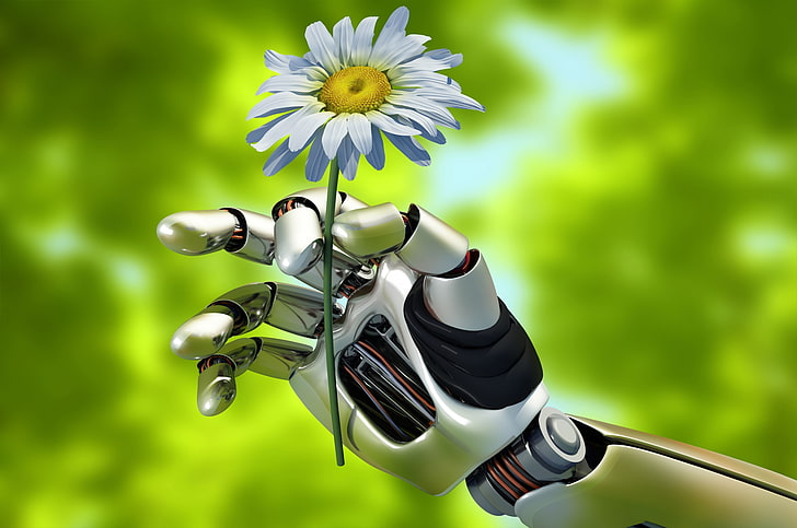 Daisy flower, summer, macro, nature, mechanism, robot, hand, blur, HD wallpaper