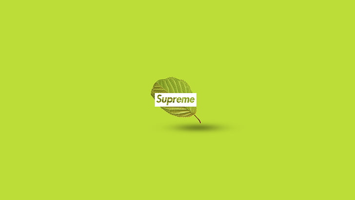supreme, nature, text, studio shot, copy space, colored background, HD wallpaper