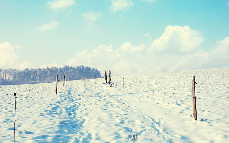landscape, fence, snow, winter, trees, sky, cloud - sky, cold temperature, HD wallpaper