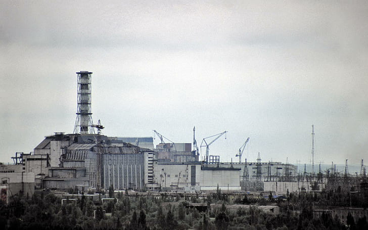 Chernobyl, gray and white concrete building, crash, crashed, animals